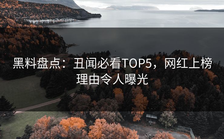 黑料盘点：丑闻必看TOP5，网红上榜理由令人曝光